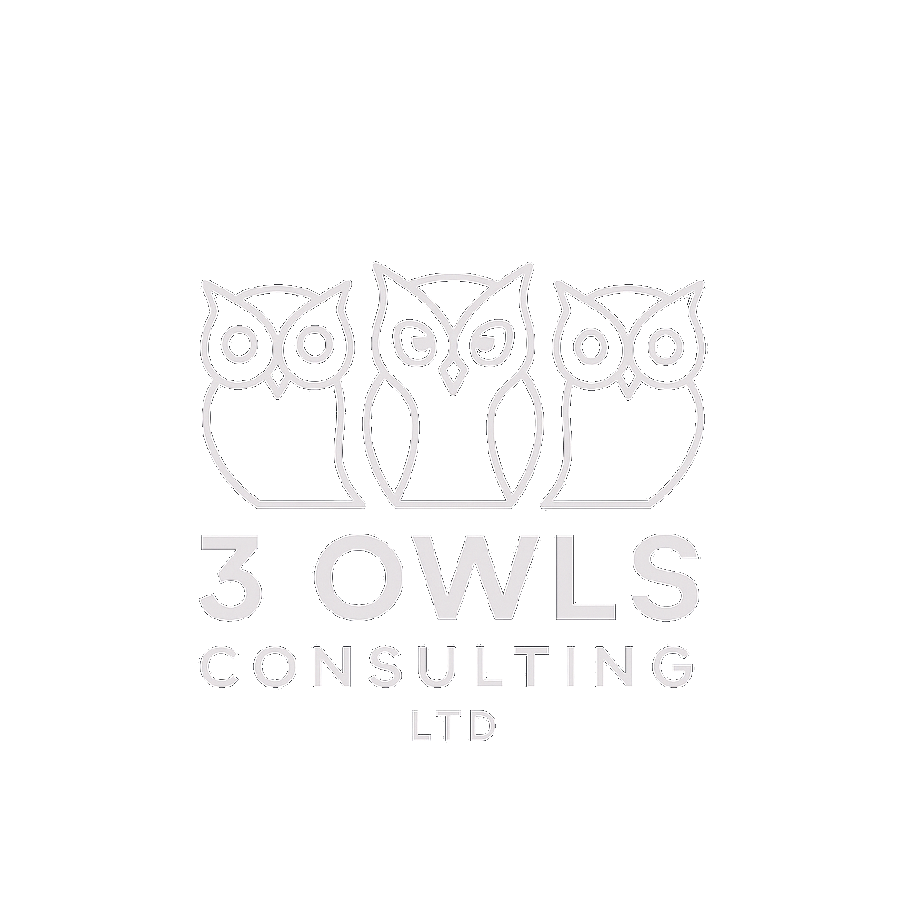 3 Owls Consulting Ltd. Logo